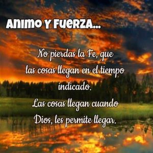 中国处女操逼出血视频
