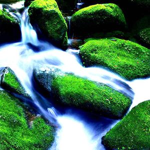 中文字幕无线码
