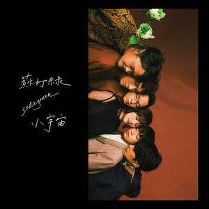 奖励小花园的视频
