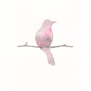 bluephoto蓝摄全见版安装
