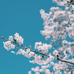 国产自产免费视频一区39页
