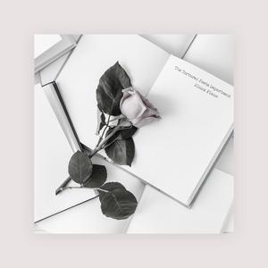 黄片性在线观看
