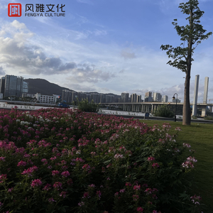 肉小穴激情视频
